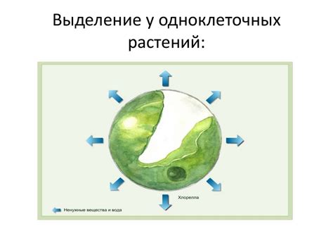 Шаг 3: Удаление продуктов