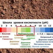 Шаг 3: Фильтрация раствора