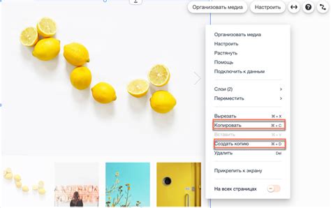 Шаг 4: Просмотр и управление галереей в WhatsApp