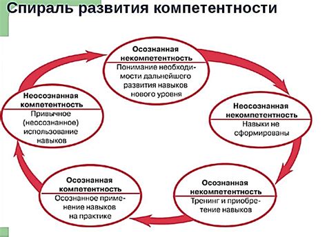 Шаг 4: Развитие навыков и компетенций