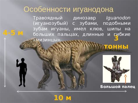 Шаг 4: Разрабатываем тело игуанодона