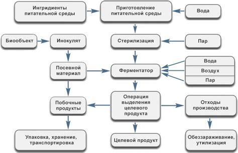 Шаг 4: Ферментация и хранение