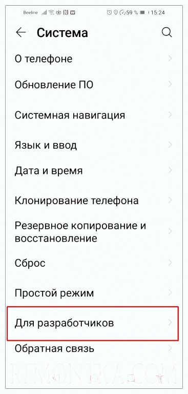 Шаг 5: Вернитесь в настройки и откройте "Опции разработчика"