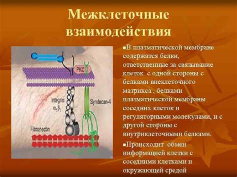 Шаг 5: Связывание клеток вместе