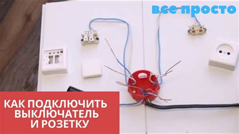 Шаг 5: Установите подсветку в выключатель