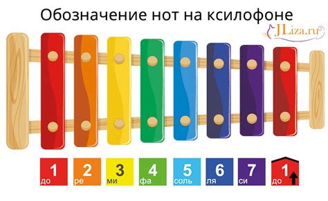 Шаг 6: Использование ксилофона и научение игры