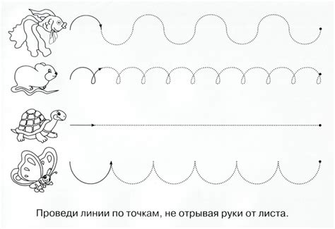 Шаг 6: Проведи контур и удали ненужные линии