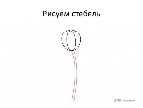 Шаг 6: Рисуем стебель