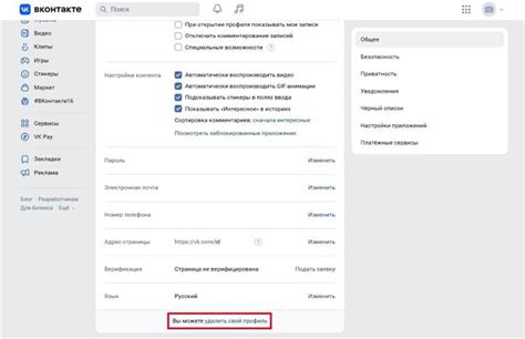 Шаг 7: Проверка аккаунта VKontakte