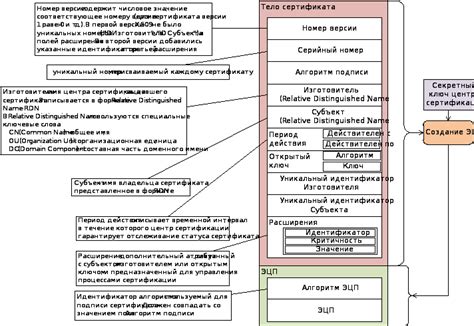 Шаг 7: Процедура проверки работоспособности сертификата