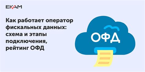 Шаг 7: Тестирование работы ОФД