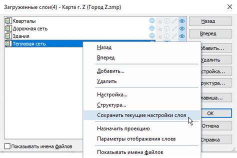 Шаг 8: Сохранение настроек слоя по умолчанию