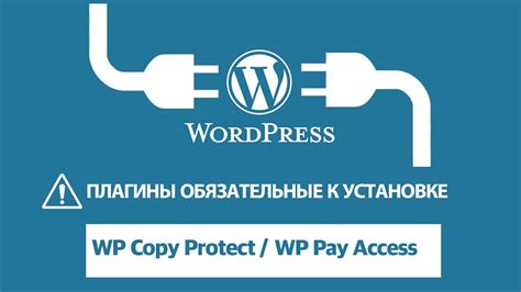 Шестая идея: Создайте платный доступ к уникальным функциям сервера