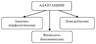 Эволюционная адаптация и плач