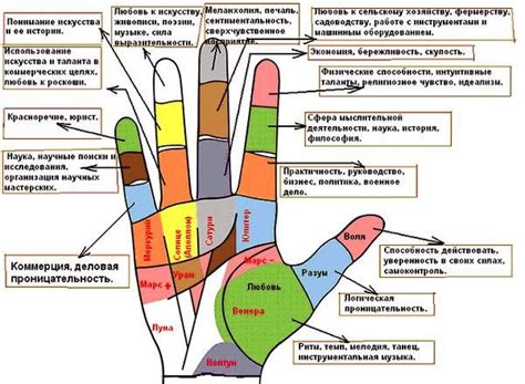 Эволюционное значение сморщивания пальцев