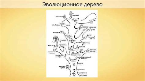 Эволюционное преимущество строения