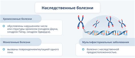 Эволюционные аспекты совпадения ДНК