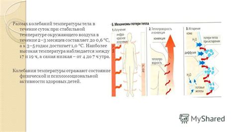 Эволюционные преимущества стабильной температуры тела