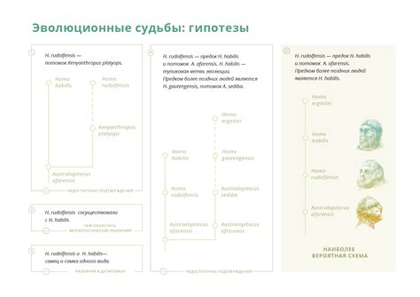 Эволюционные причины схожести людей