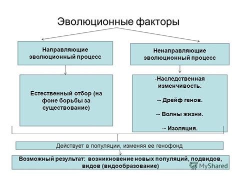 Эволюционные факторы и причины