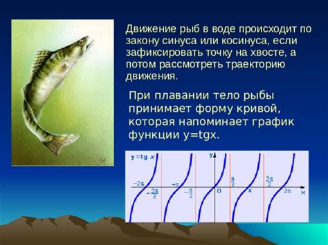 Эволюционный аспект плавания рыбы вертикально