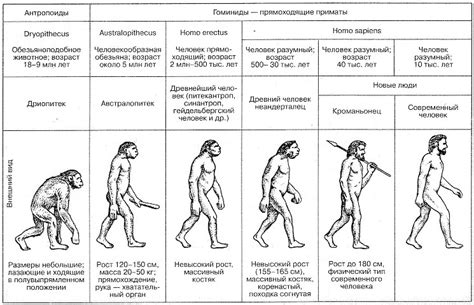 Эволюция людей: доказательства