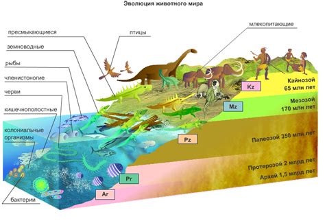 Эволюция организмов