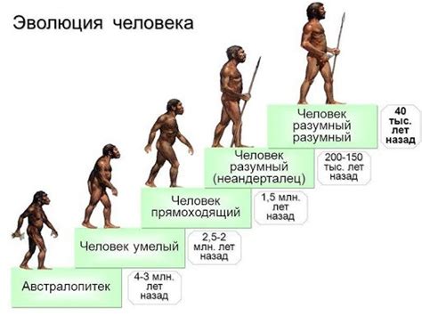 Эволюция физиологии и здоровья человека