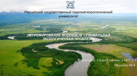 Экологическая значимость водоемов