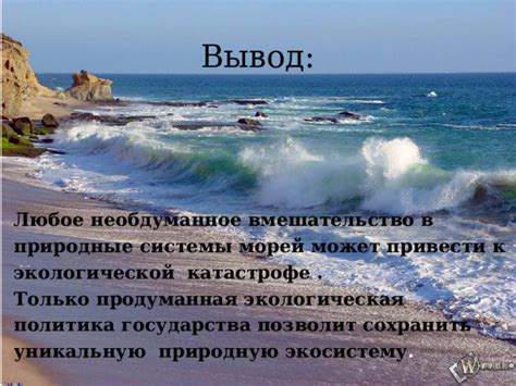 Экологическая роль морей России