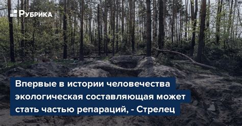 Экологическая составляющая снижения видимости следа