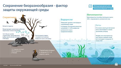 Экологические аспекты укрепления береговой линии: сохранение биоразнообразия