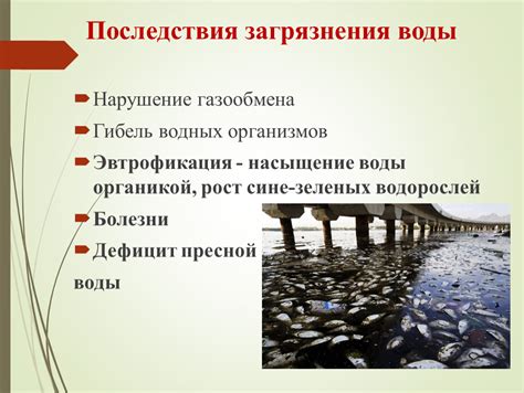 Экологические последствия загрязнения воды