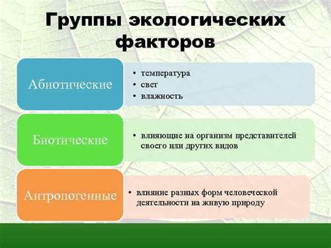 Экологические факторы, влияющие на формирование цены на трамваи в Туле