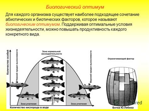 Экологические факторы, создающие оптимальные условия для саламандера во влажных местах