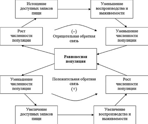 Экологический баланс и регуляция популяции