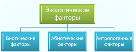 Экологический фактор и влияние гормонального баланса