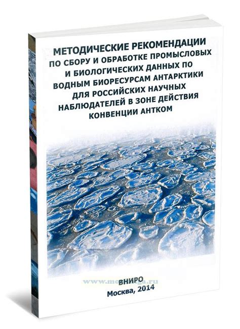 Экспертные рекомендации по обработке и засолу очищенной икры