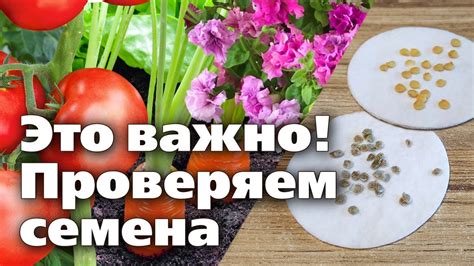 Экспертные советы по проверке взмахивания