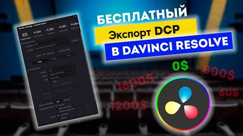 Экспорт DCP