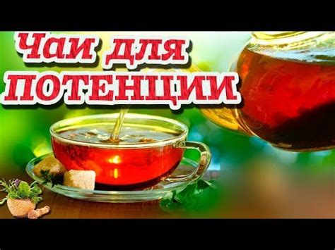 Элевит для мужчин: влияние на потенцию и фертильность