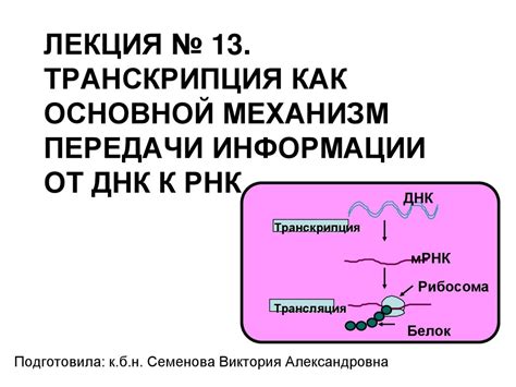 Электрическая активность: основной механизм передачи информации