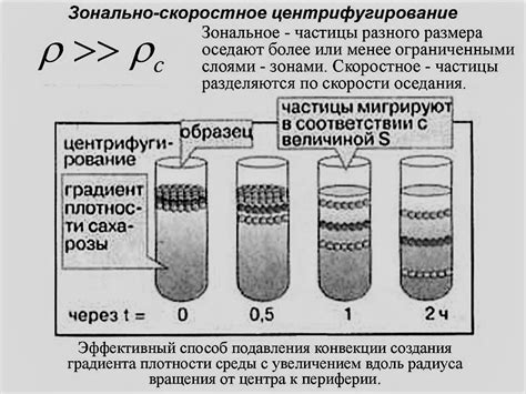 Электрофорез как метод фракционирования нуклеиновых кислот