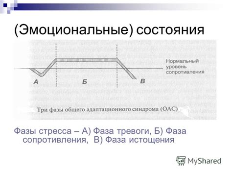 Эмоциональные фазы