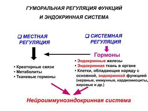 Эндокринная система и энергия