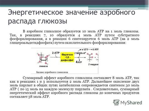 Энергетическое значение глюкозы