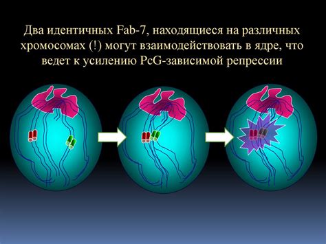 Эпигенетические факторы