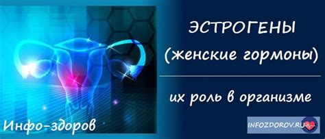 Эстрогены и их роль в рвотном рефлексе