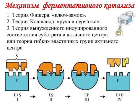 Этапы подготовки и получения ключа