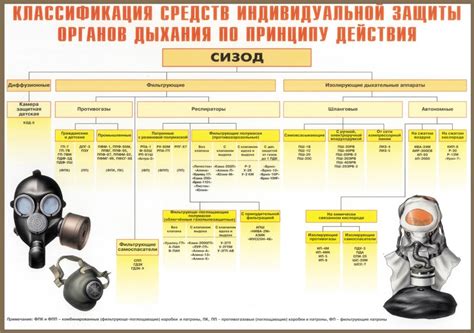 Этапы проведения проверки и защиты